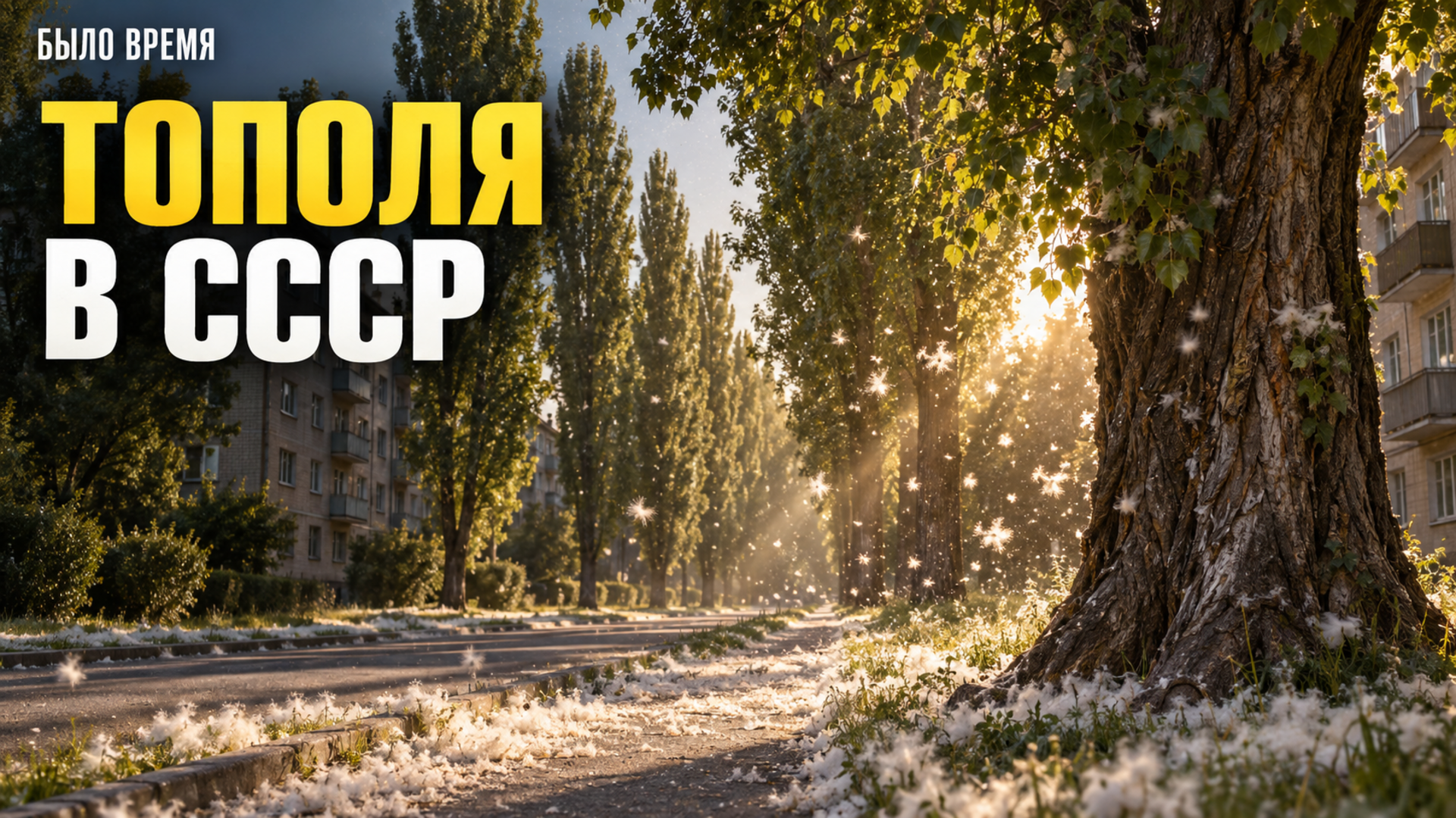 Почему в СССР сажали тополя повсюду — и в чём оказалась проблема
